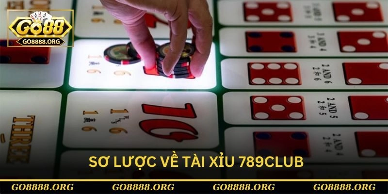 Tổng quan sơ lược về tài xỉu 789club cho người mới theo dõi Tổng quan sơ lược về tài xỉu 789club cho người mới theo dõi